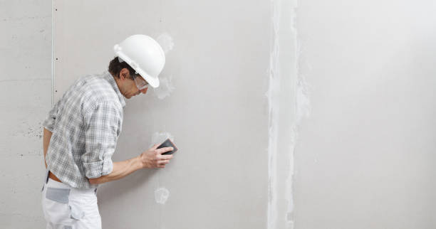 Best Commercial Painting  in Dodgeville, WI