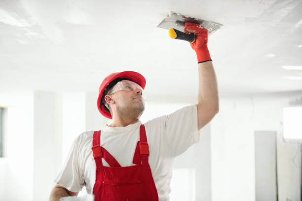 Best Ceiling Drywall Installation  in Dodgeville, WI